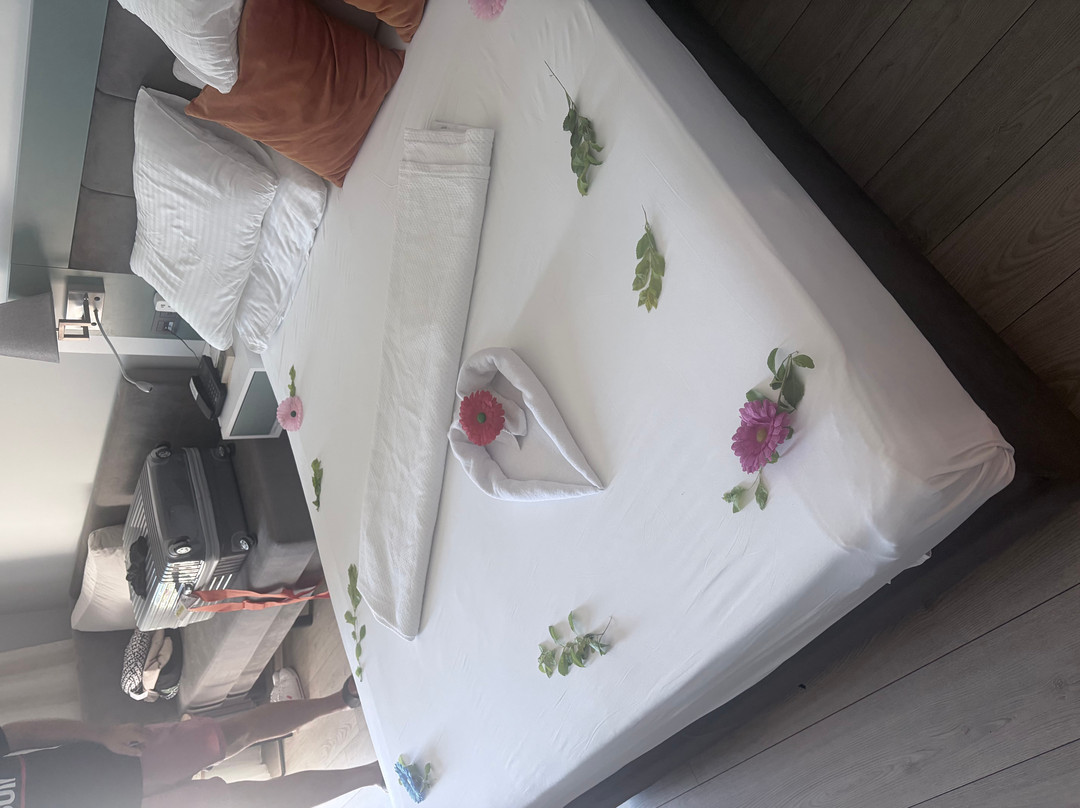 Arcanus Hotels Trendline Side