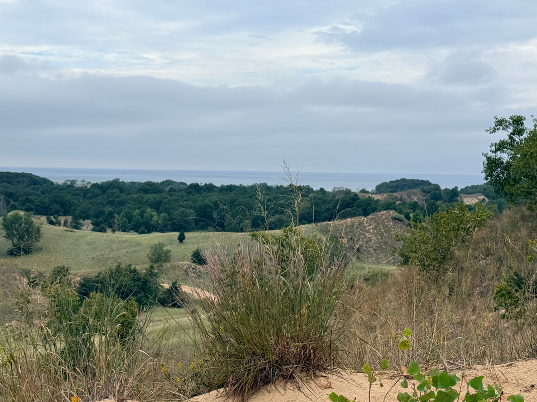 Saugatuck Dune Rides-索格塔克必去景点