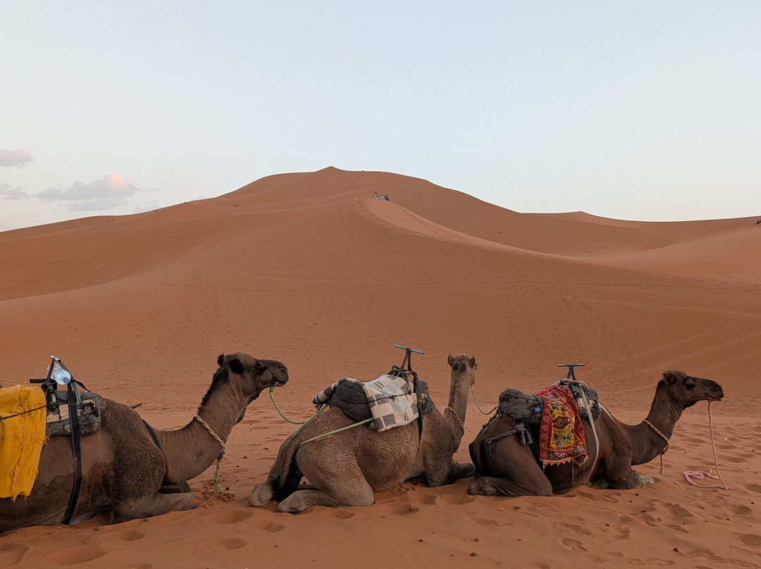 Merzouga Desert Experience-梅如卡必去景点