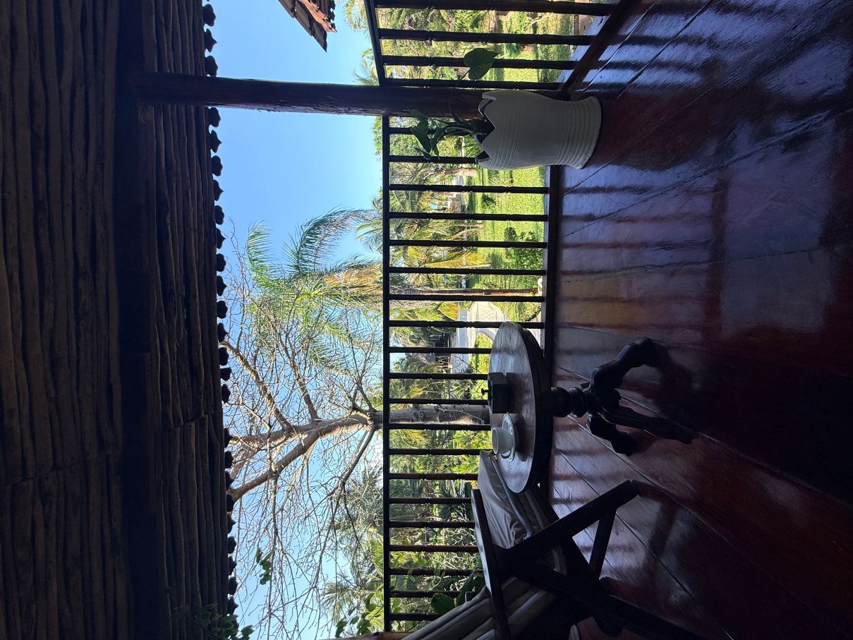 桑给巴尔精品酒店-旅行者