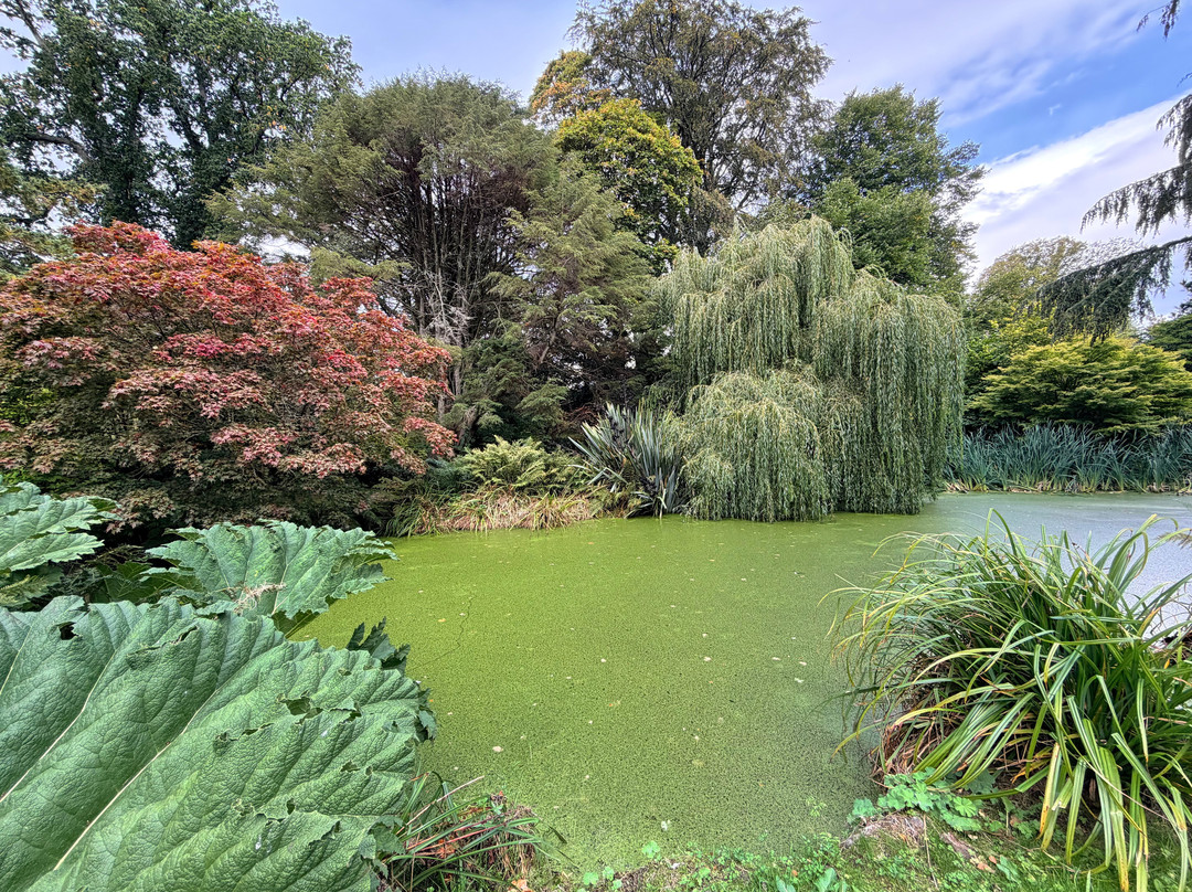 Drum Castle, Garden & Estate-Banchory必去景点