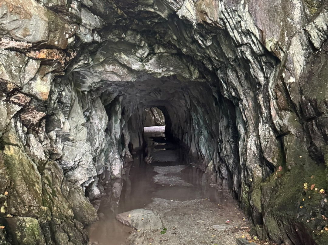Cathedral Quarry (Cathedral Cave)-Little Langdale必去景点