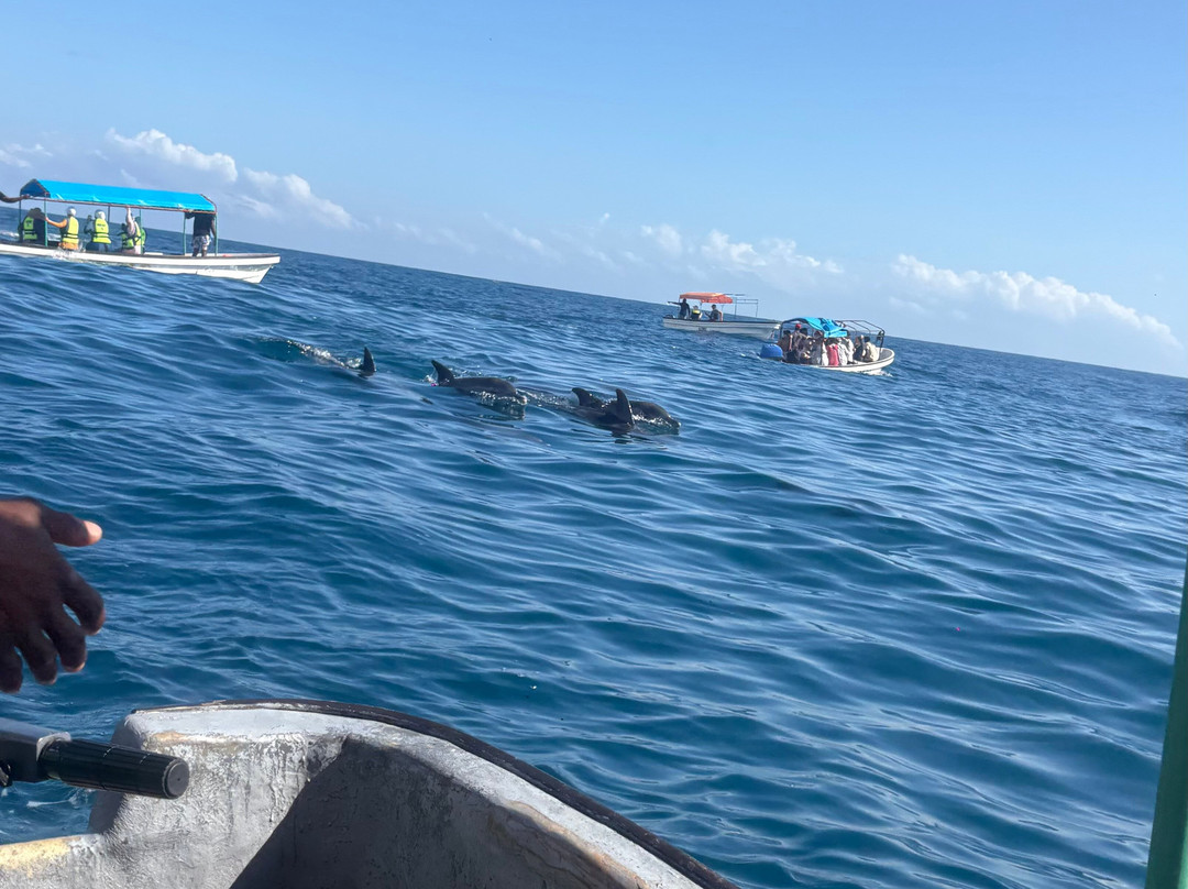 Triple J Zanzibar Tours And Transfers-桑给巴尔市必去景点