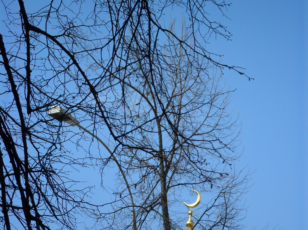 Yaroslavl Mosque-雅罗斯拉夫必去景点