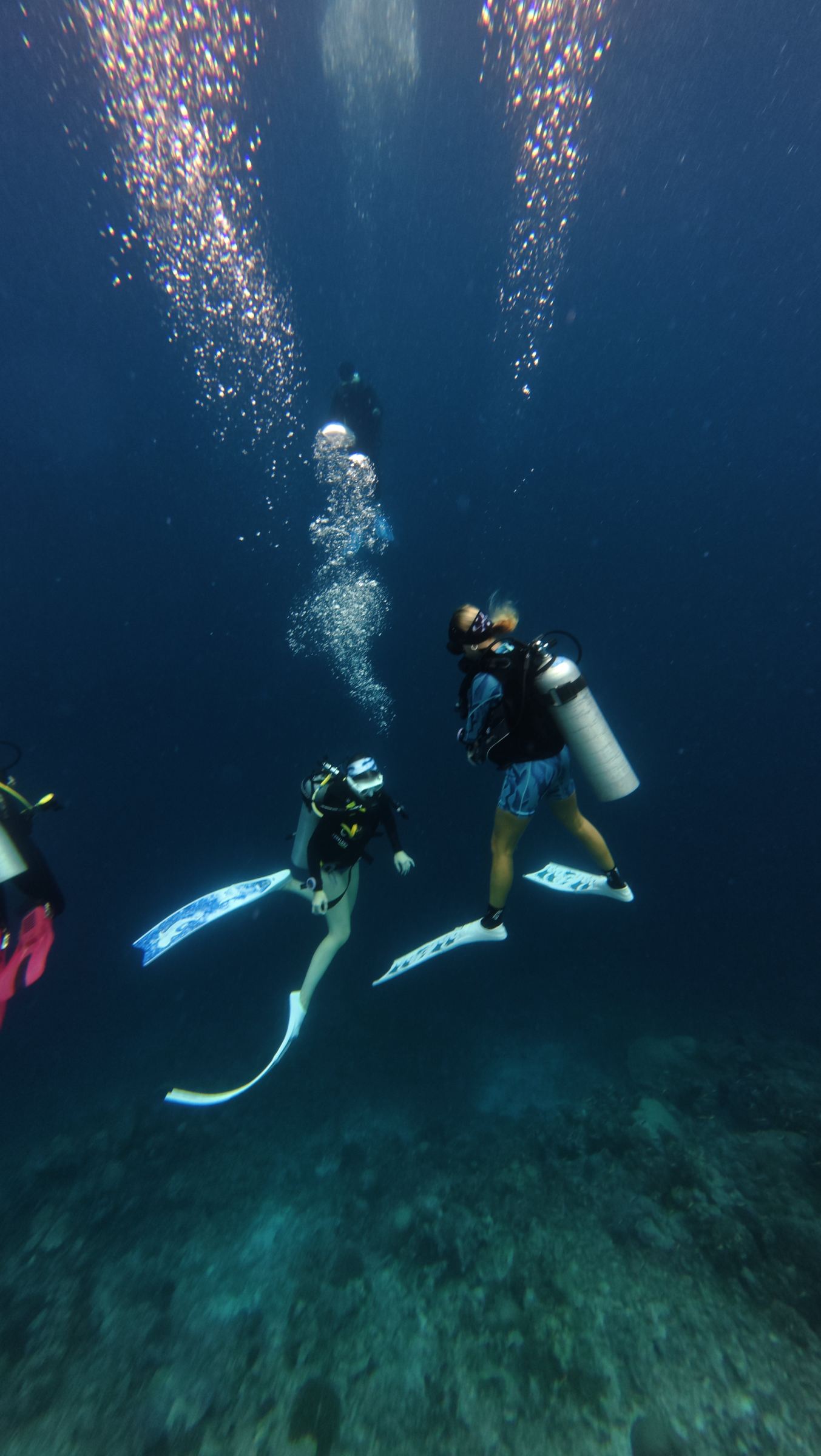 Fuvahmulah Scuba Club-旅行者