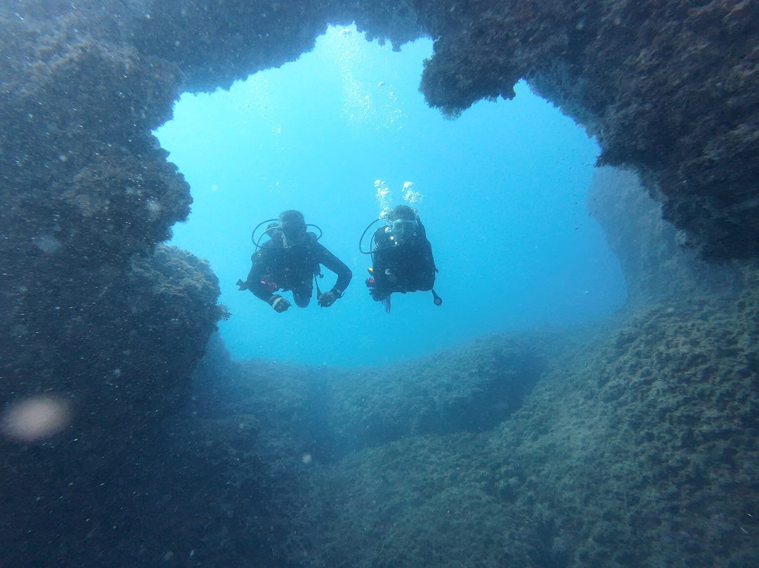 Mardays Dive & Water Experience-哈韦阿必去景点