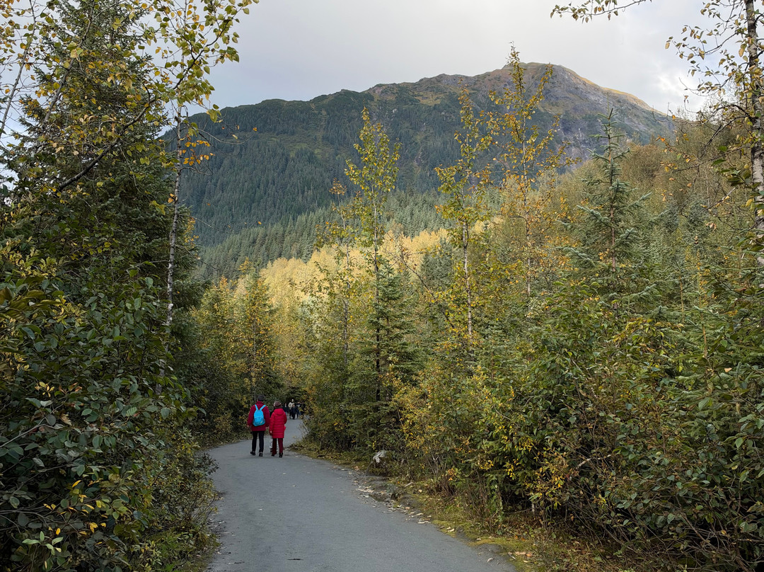 Mendenhall Glacier-朱诺必去景点