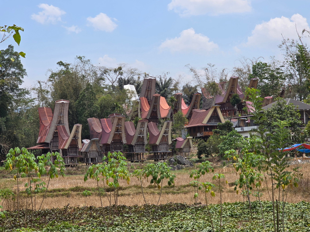 TORAJA TOUR WITH GUIDE SERVICE.-Tana Toraja必去景点