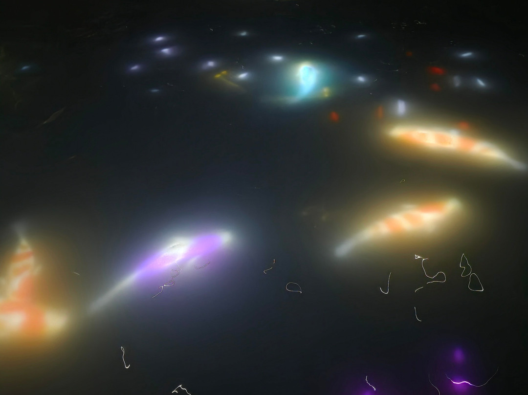 teamLab Planets TOKYO-Toyosu必去景点