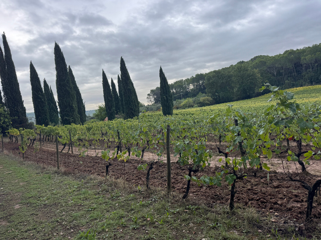 Domaine Valcolombe-Villecroze必去景点