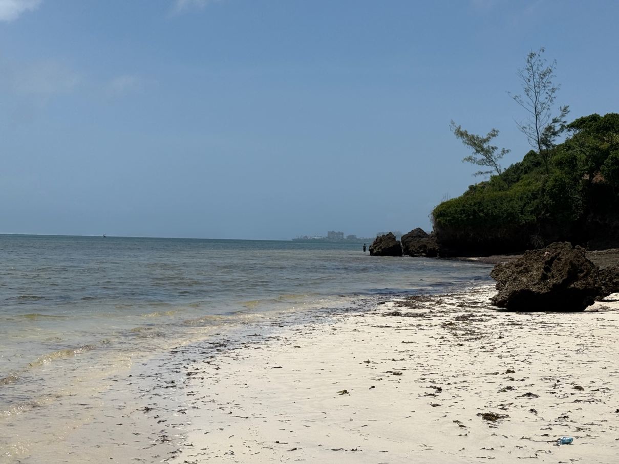 红鹤海滩水疗度假村-旅行者