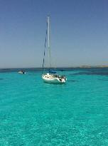 Parco nazionale dell`Asinara-Asinara必去景点