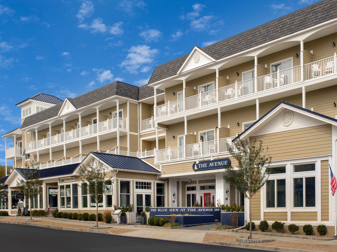 特拉华州酒店住宿-Avenue Inn & Spa