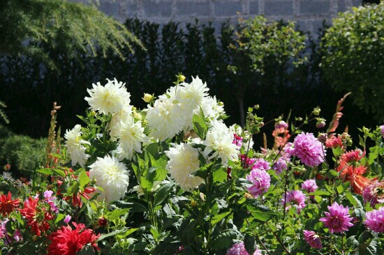 拉萨游乐园-拉萨市必去景点