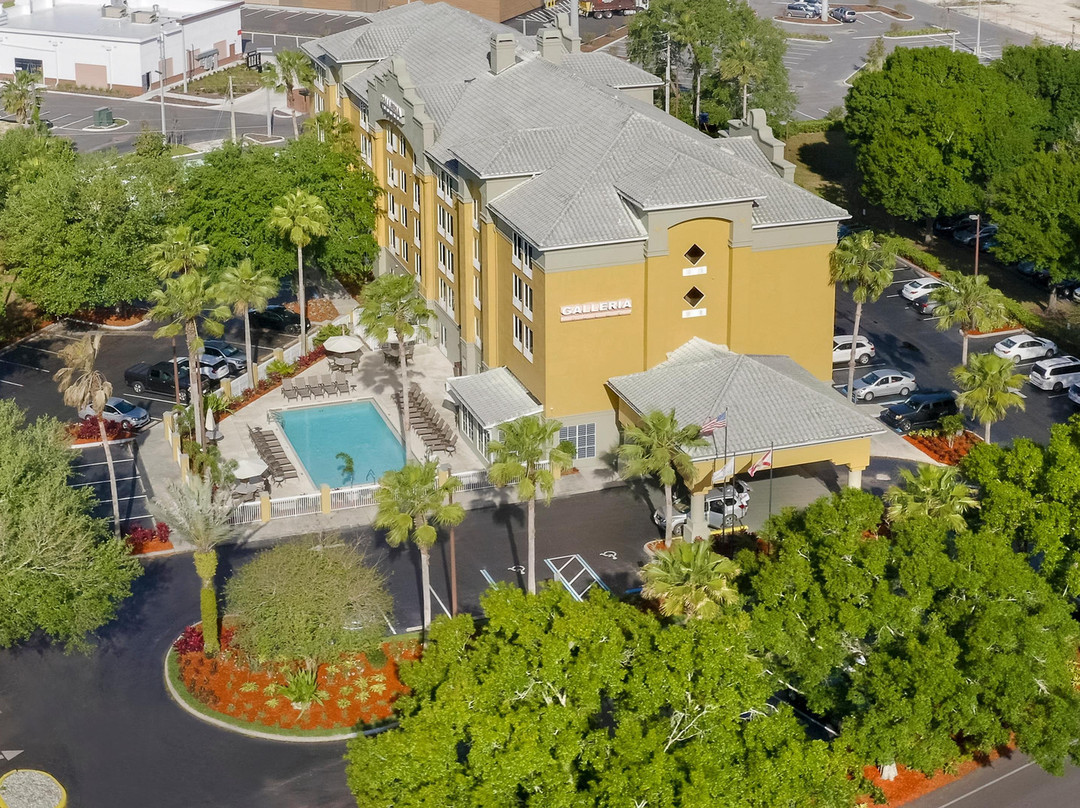 奥兰多佳乐利棕榈酒店主图