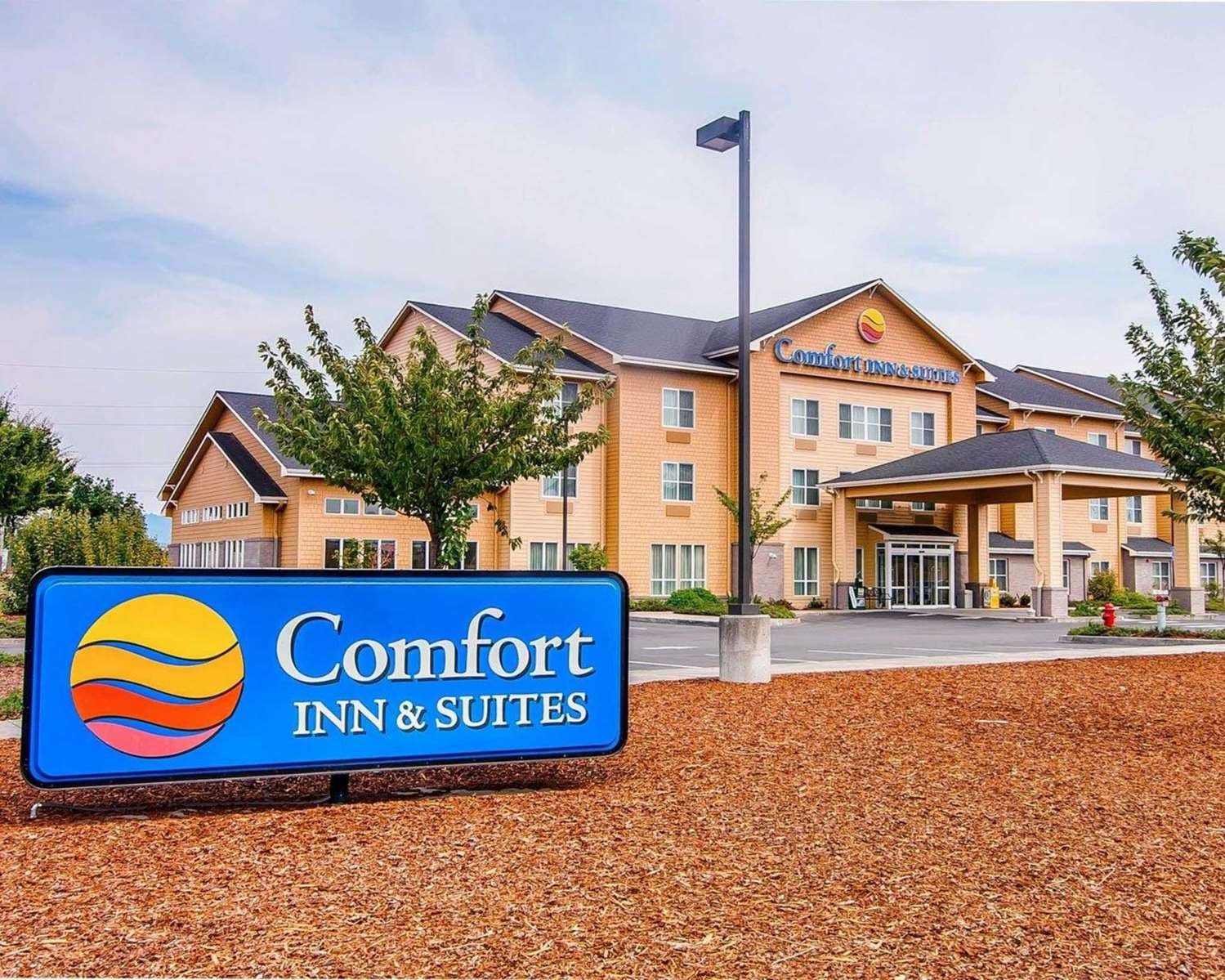 Comfort Inn & Suites-官方