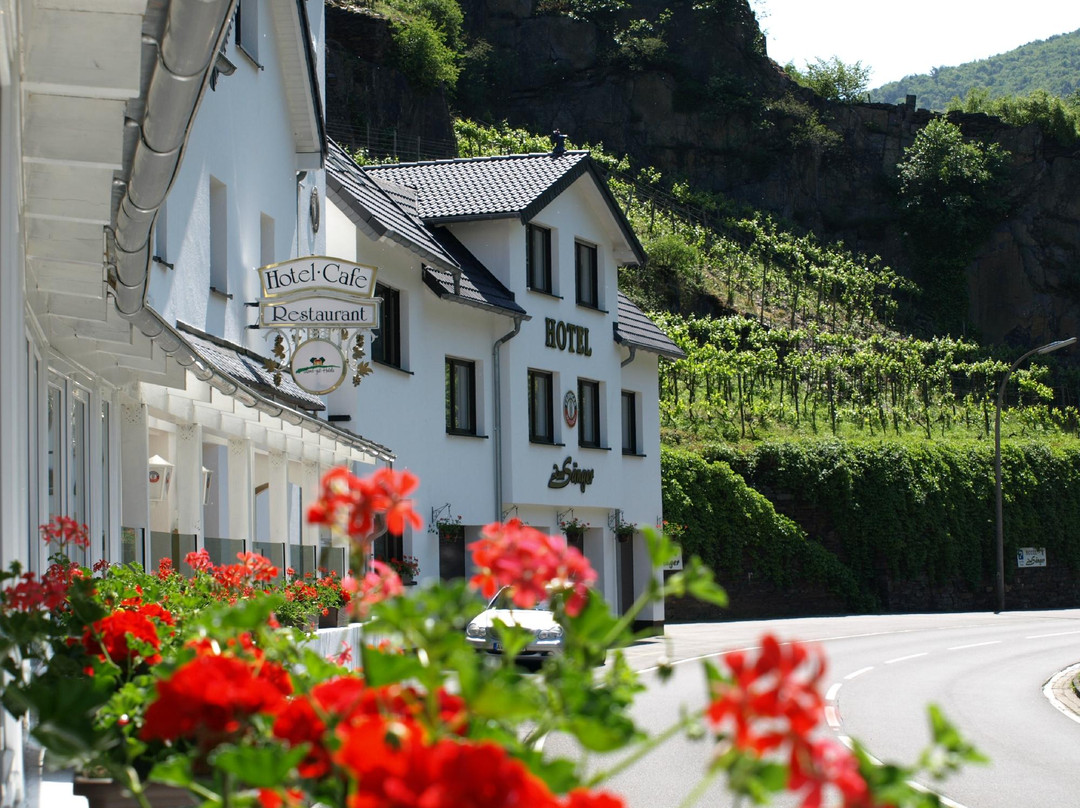 Dernau酒店住宿-Land-Gut-Hotel Zum Sänger