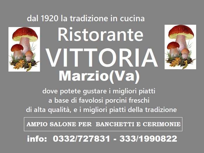 Hotel Ristorante Vittoria-官方