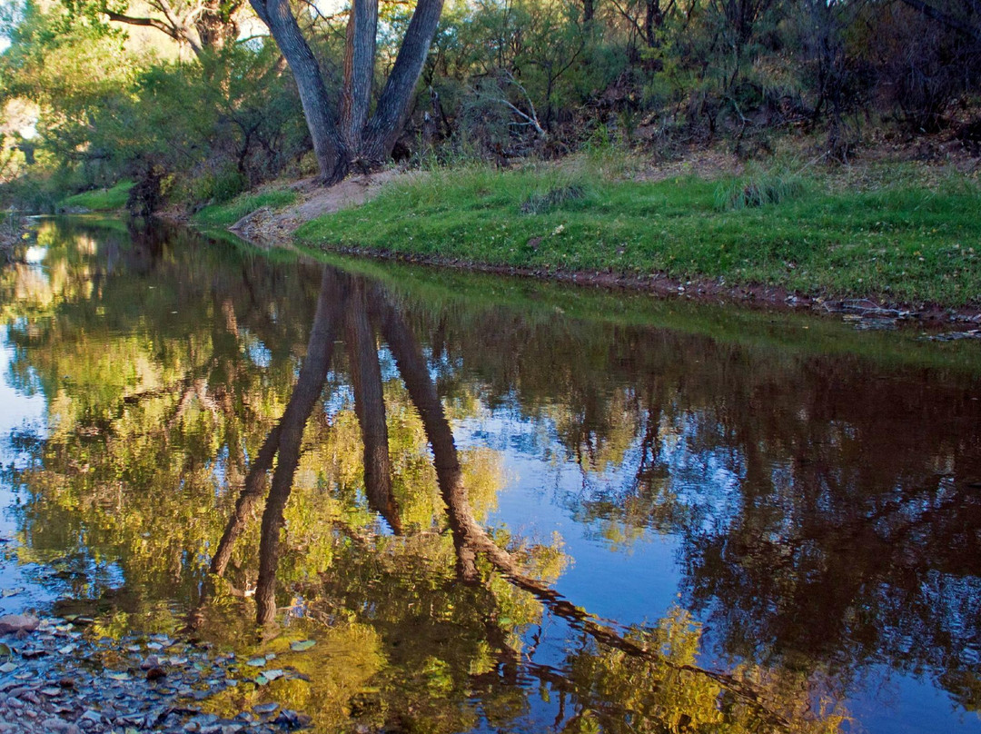 San Pedro Riparian National Conservation Area景点图片