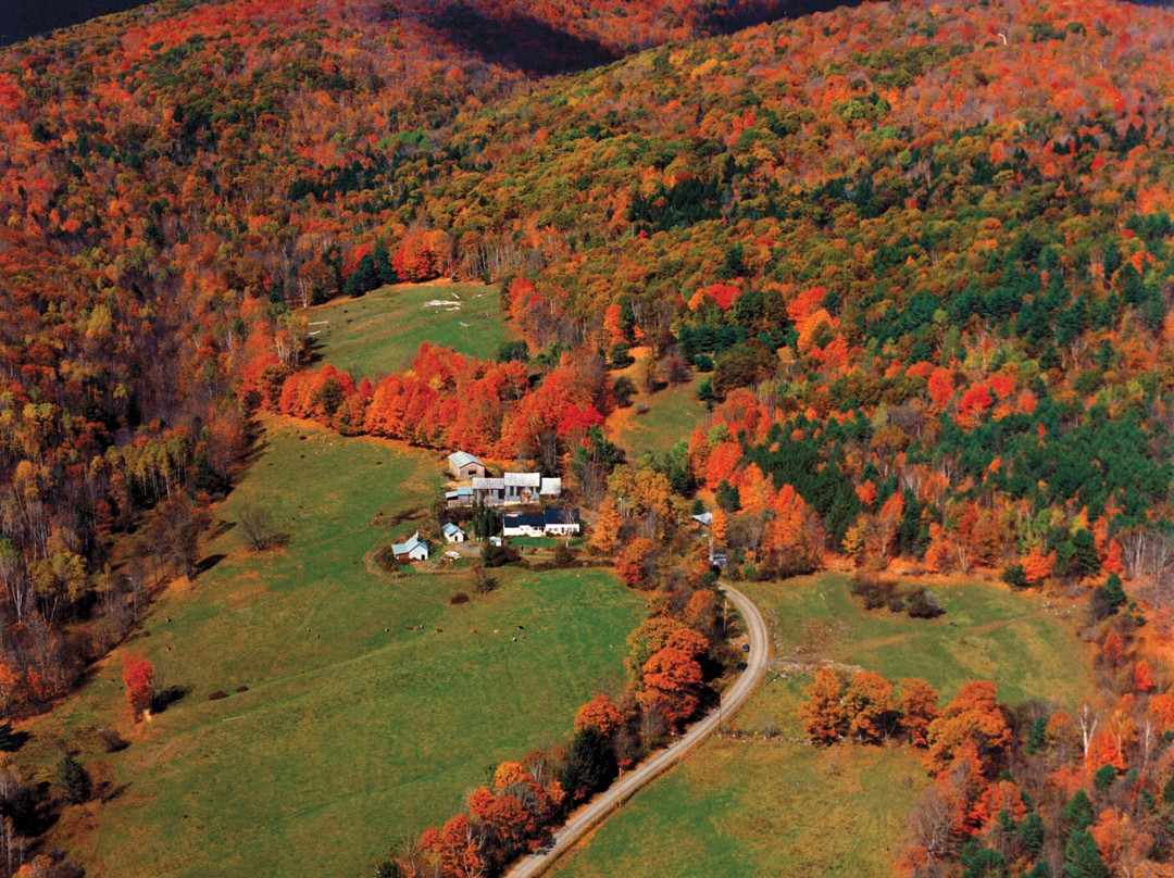 Sugarbush Farm-伍德斯托克必去景点