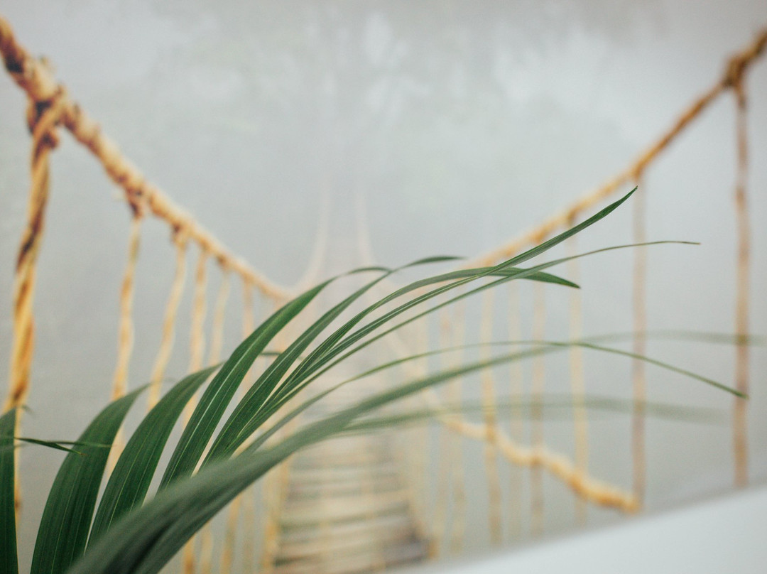AcuFusion Acupuncture Clinic-都柏林必去景点