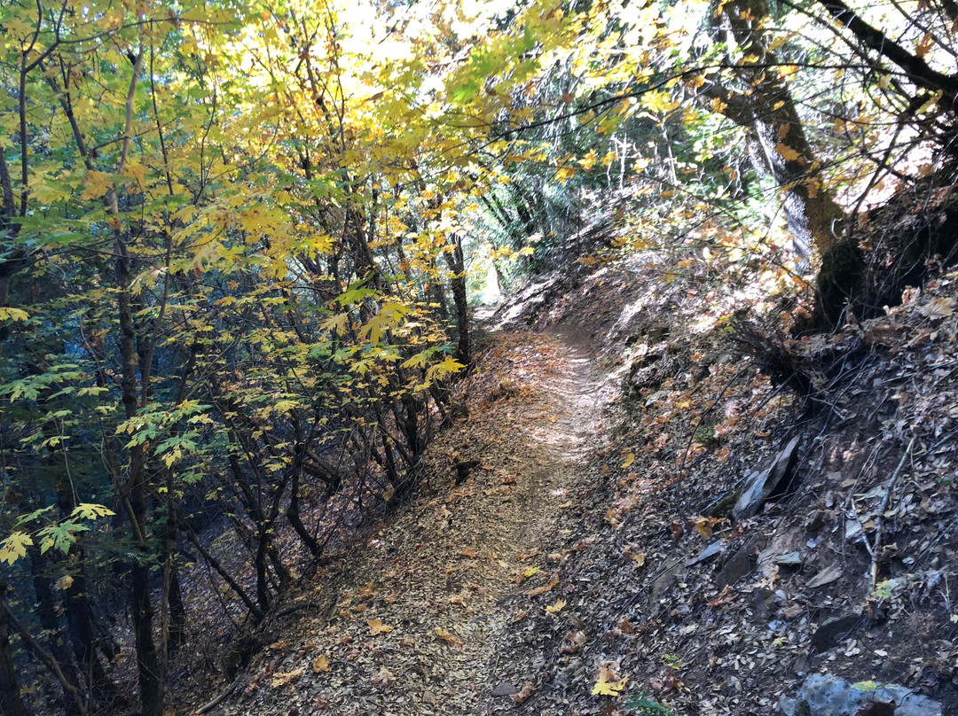 The Downieville Downhill景点图片