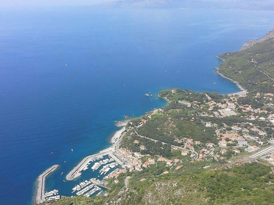 Curlo旅游景点-Bar Crystal