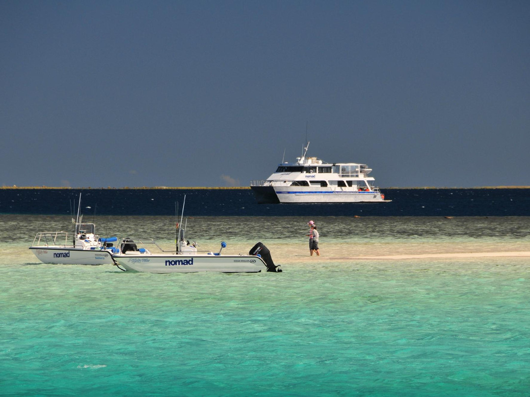 Nomad Sportfishing Adventures景点图片