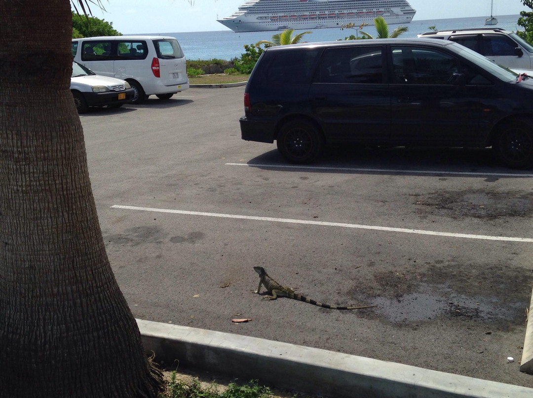 Cayman Auto Rentals-George Town必去景点