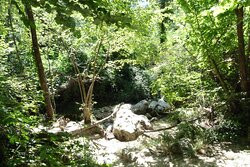 Tombe rupestri di San Liberatore景点图片