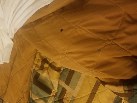 古德利茨维尔索马特尔酒店