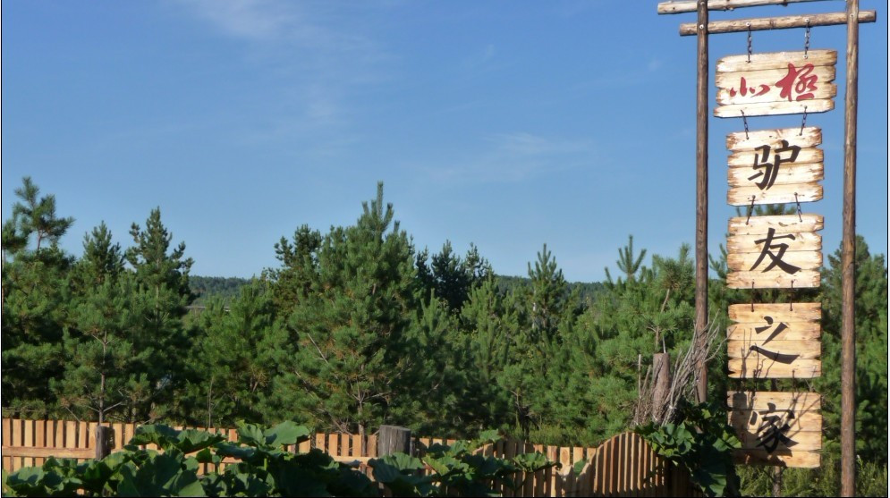 北极驴友之家主图