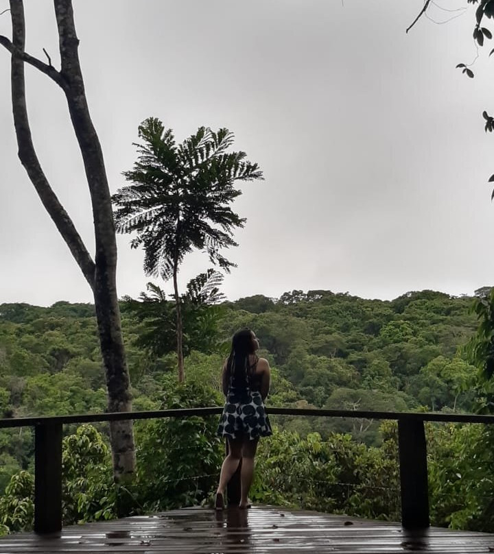 Cantos da Mata主图