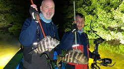 Twisted Limbs Bowfishing-Polk City必去景点