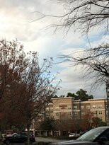 Perico Preserve-布雷登顿必去景点