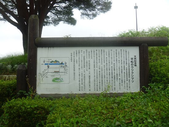 Bodaiji Parking Area Inbound-湖南市必去景点