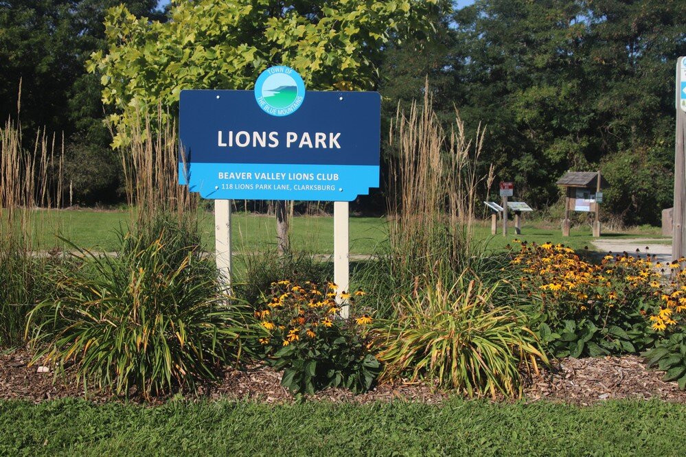 Lion's Park Clarksburg景点图片