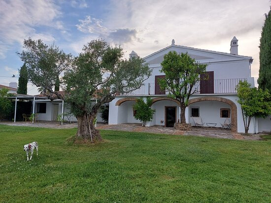 Finca El Azahar主图