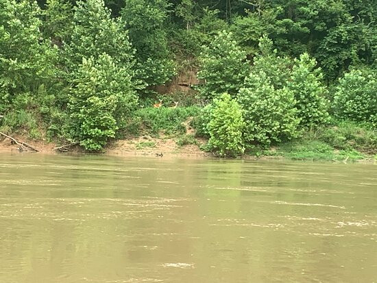 Buffalo River Float Service-Yellville必去景点