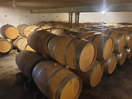 Château Coutet景点图片