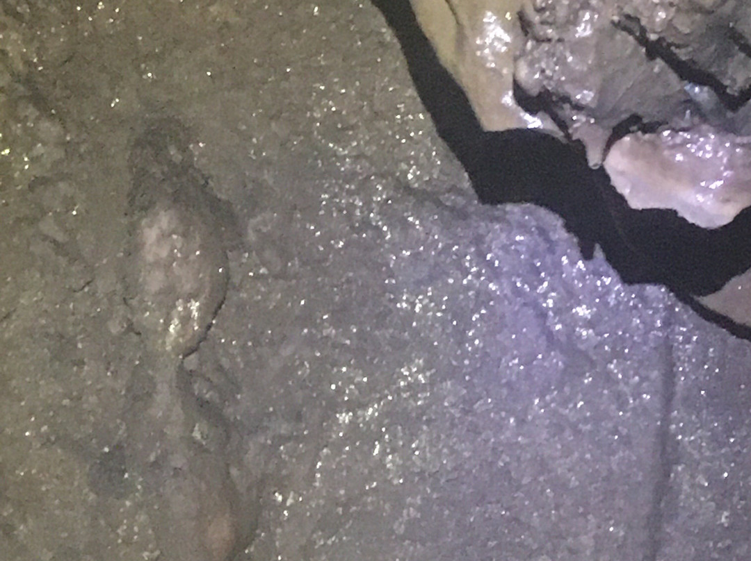 Caverna Ouro Grosso-伊波兰加必去景点