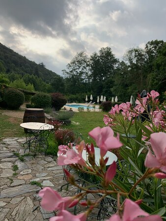 Hôtel Château Du Rey-泳池