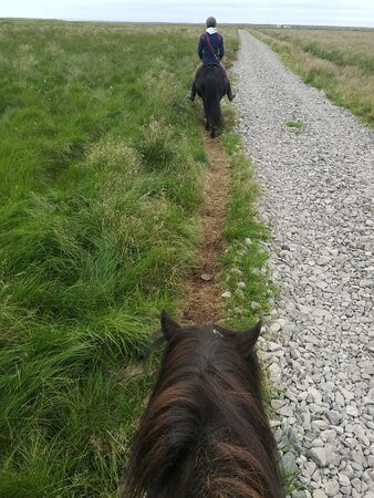 Lysuholl Short Rides-Snaefellsbaer必去景点