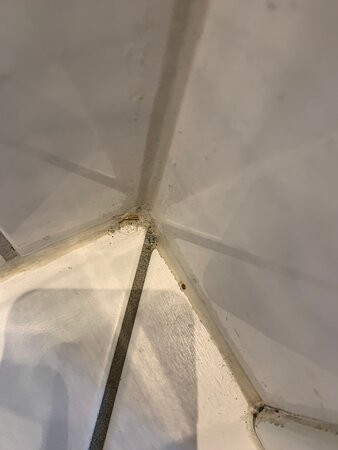 提蒙多夫酒店主图
