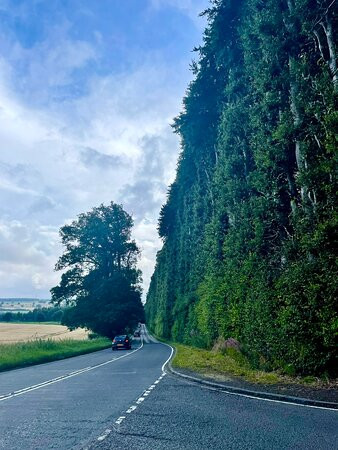Meikleour Beech Hedges-Meikleour必去景点