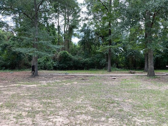 7 Acre Wood-Conroe必去景点