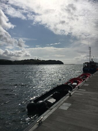 Bantry Bay Boat Hire景点图片