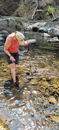 Eagle Creek Trail-Cascade Locks必去景点