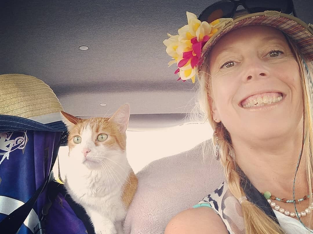 Faywood Hot Springs-Faywood必去景点