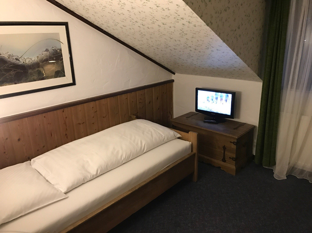 Hotel Prinz Heinrich Darmstadt Griesheim主图